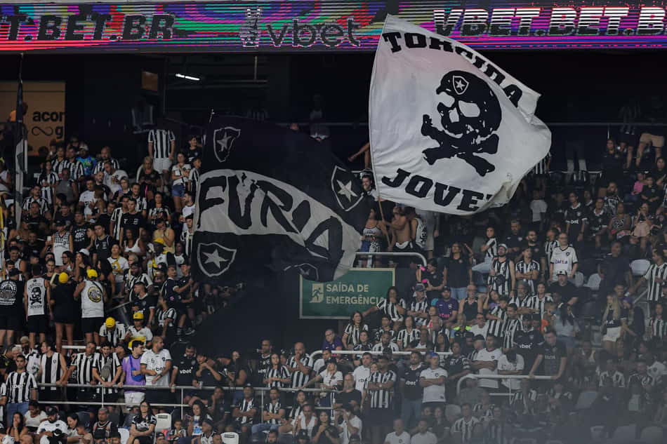 Torcida do Botafogo no Nilton Santos (Foto: Arthur Barreto/Botafogo)