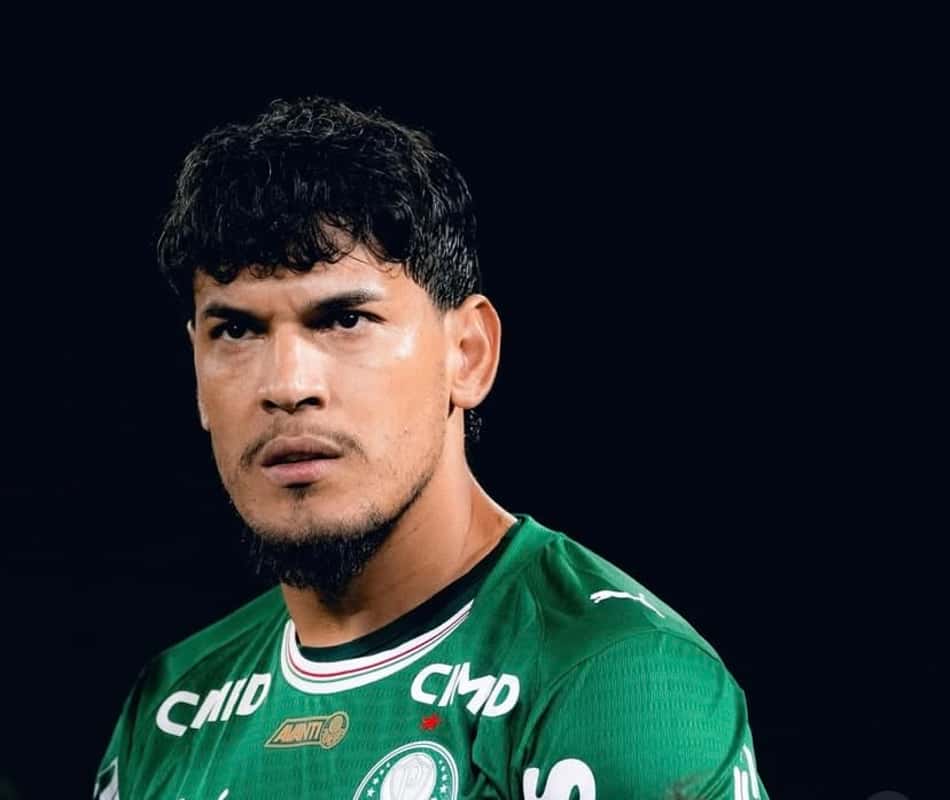 Torcedores celebraram atitude de Gustavo Gómez (Foto: Reprodução Instagram)