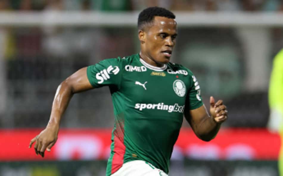 Veja o gol de Palmeiras x Botafogo: Danilo diminui após gol de Arias