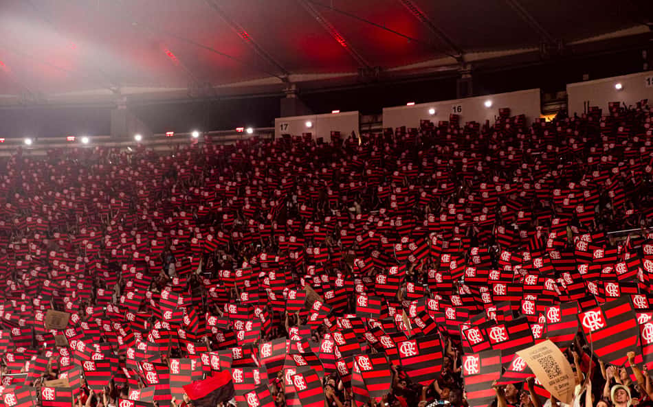 Torcedores do Flamengo invadem perfil de estrela do Lollapalooza: 'Comédia'
