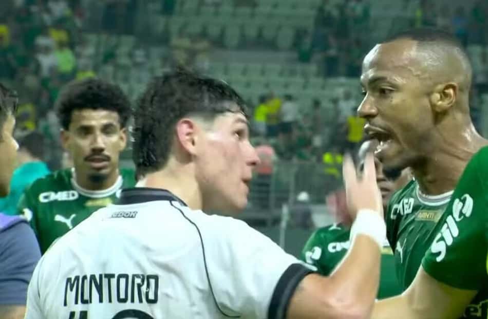Marlon Freitas, do Palmeiras, se envolveu em confusão com jogadores do Botafogo (Foto: Reprodução/sportv)
