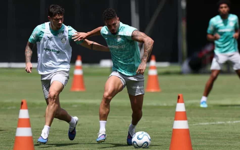 Paulinho - Palmeiras