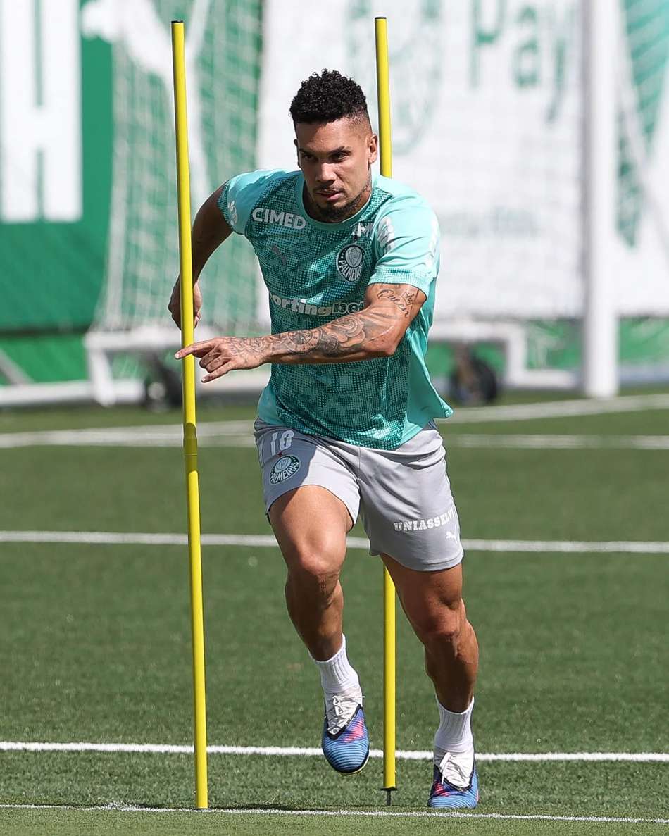 Paulinho - Palmeiras