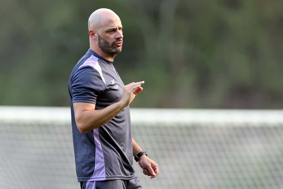 Franclim Carvalho é o novo técnico do Botafogo (Foto: Vítor Silva/Botafogo)