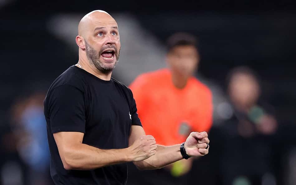 Franclim Carvalho é o técnico do Botafogo (Foto: Vítor Silva/Botafogo)