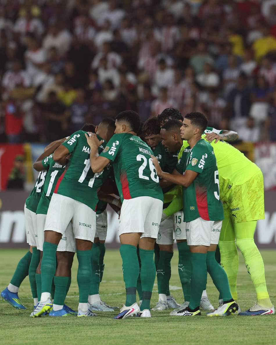 Palmeiras onde assistir