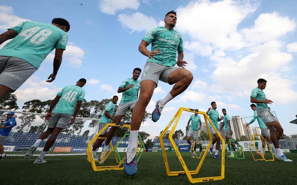 Paulinho fica à disposição do Palmeiras para o clássico contra o Santos (Foto: Cesar Greco/Palmeiras)
