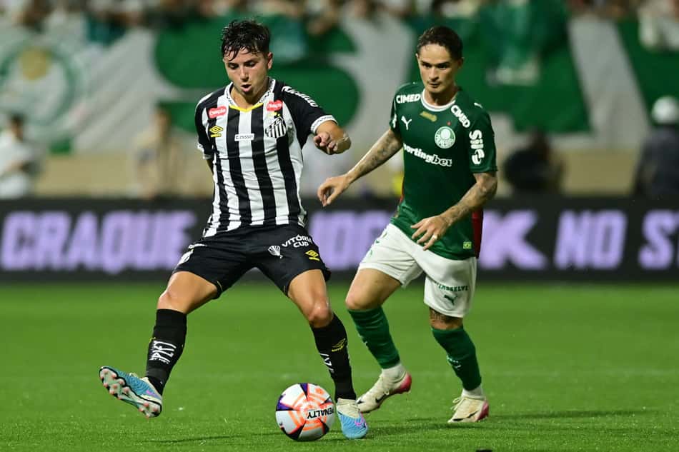 Palmeiras e Santos na Arena Barueri pelo Paulistão (Foto: Eduardo Carmim/Photo Premium/Folhapress)