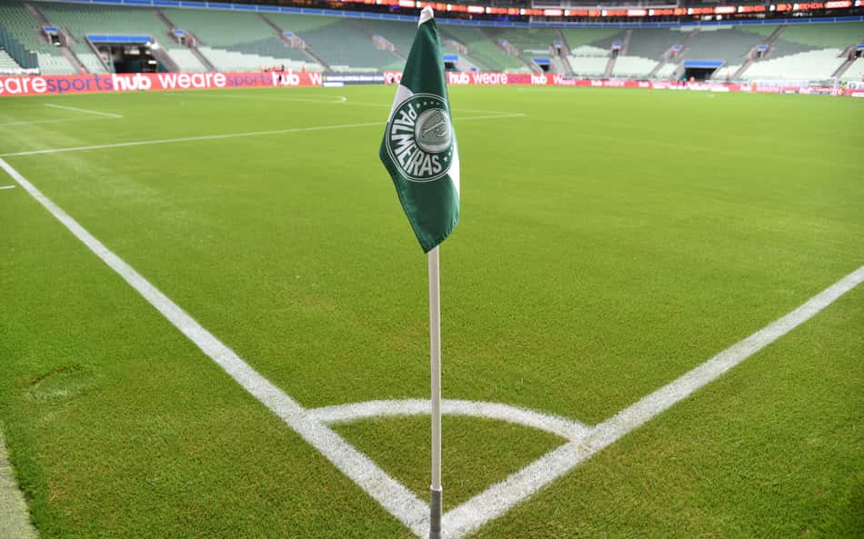 Cena bizarra em Palmeiras x Santos viraliza: 'Nunca vi isso'