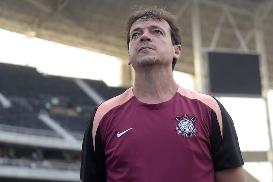 Fernando Diniz em Botafogo x Corinthians (Foto: Dhavid Normando/Código 19/Folhapress)