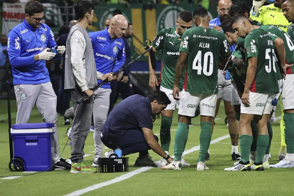 Palmeiras