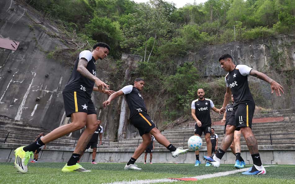 Botafogo cresce e mira parte de cima do Brasileirão ao fim do primeiro semestre