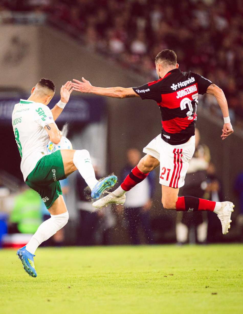 Flamengo x Palmeiras se enfrentam pela 17 rodada do Brasileirão (Foto: Gilvan de Souza/Flamengo)