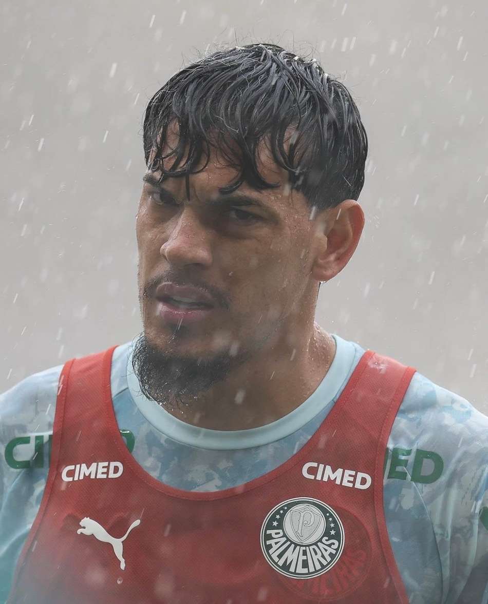 Gustavo Gómez, zagueiro do Palmeiras