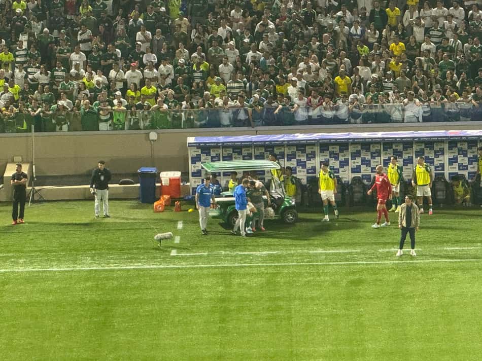 Ramón Sosa, Palmeiras
