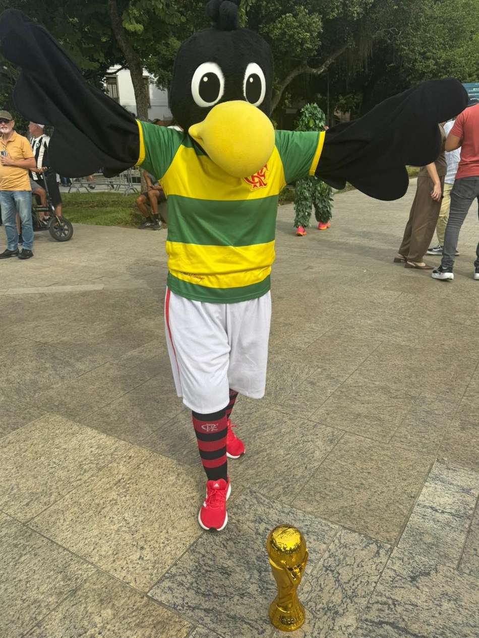 Mascote com a taça da Copa do Mundo (Foto: Fernanda Gondim/ Lance!)