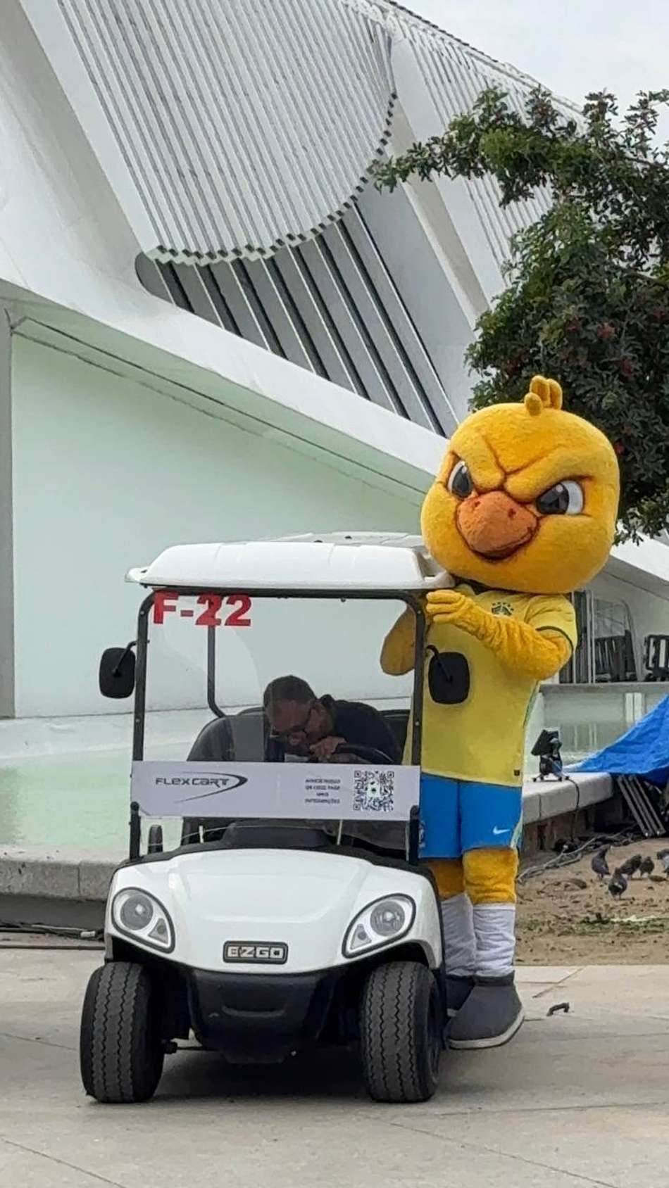 Mascote da Seleção Brasileira antes da convocação (Foto: Fernanda Gondim/ Lance!)