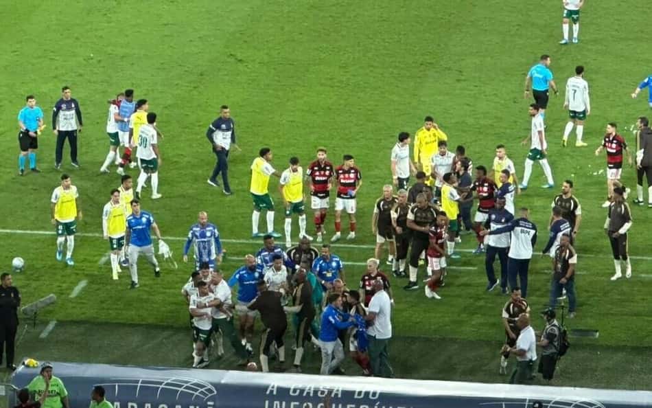 Confusão em Flamengo x Palmeiras viraliza: 'Todo momento'
