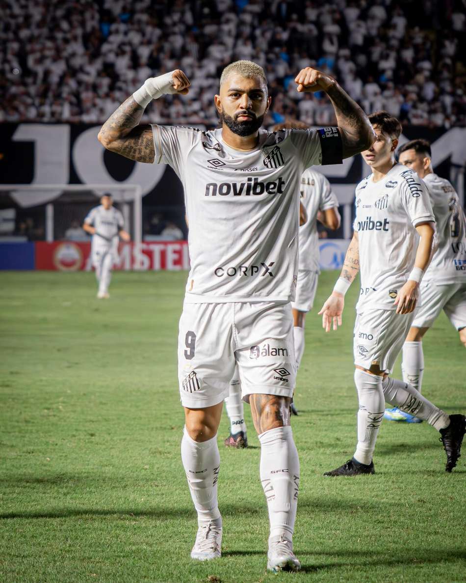 Gabriel Barbosa comemora gol pelo Santos na Vila Belmiro. (Foto: Raul Baretta/ Santos FC)