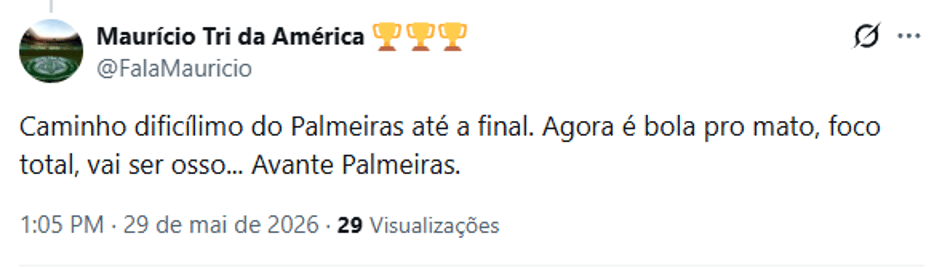 Torcedor analisando a situação do Palmeiras na Libertadores