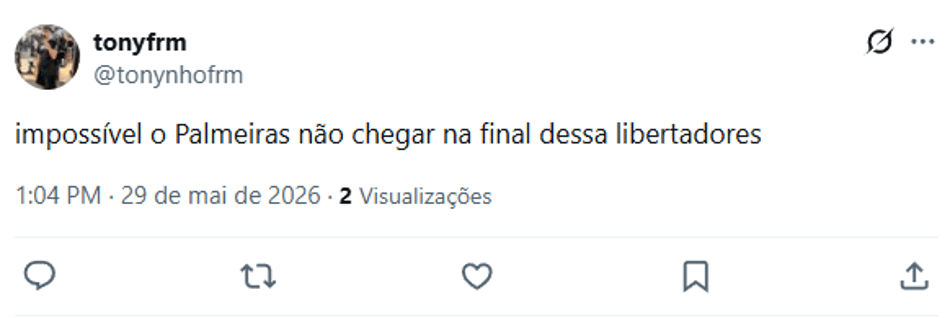 Torcedor analisando a situação do Palmeiras na Libertadores