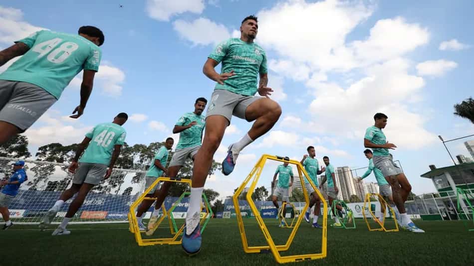 Palmeiras