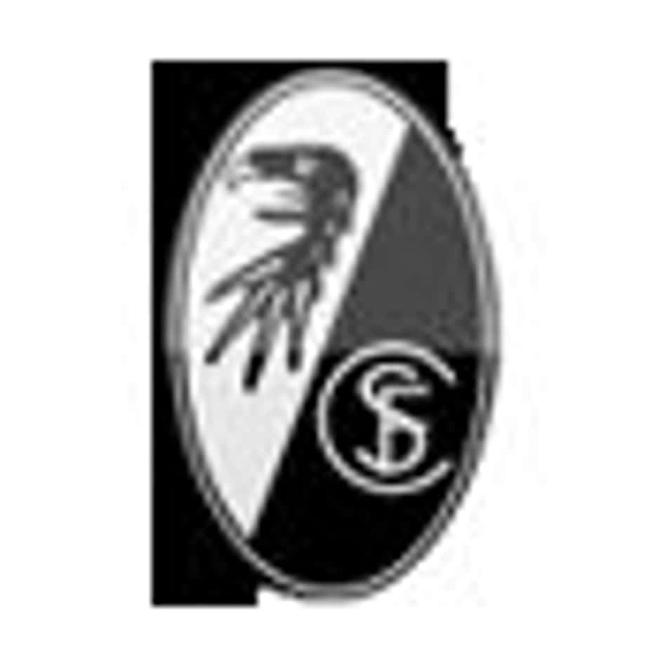 Escudo Freiburg