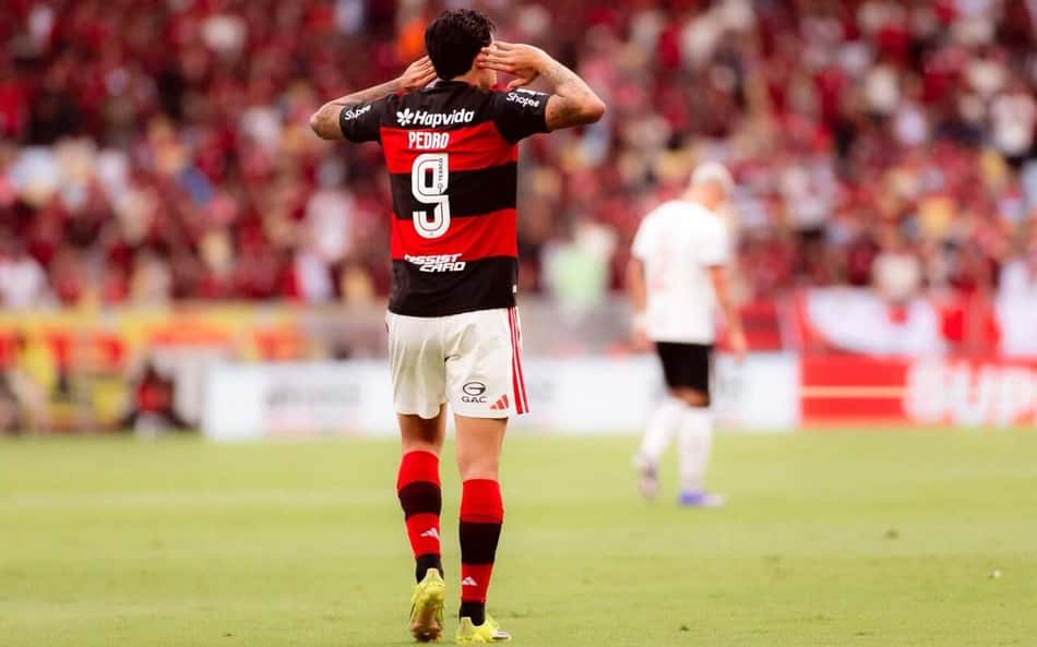 Pedro na comemoração do gol em Flamengo x Vasco (Foto: Adriano Fontes/Flamengo)
