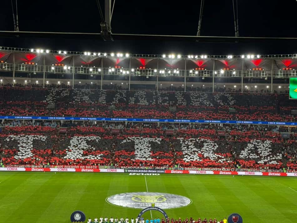 Mosaico da torcida do Flamengo (Foto: Lucas Bayer/Lance!)