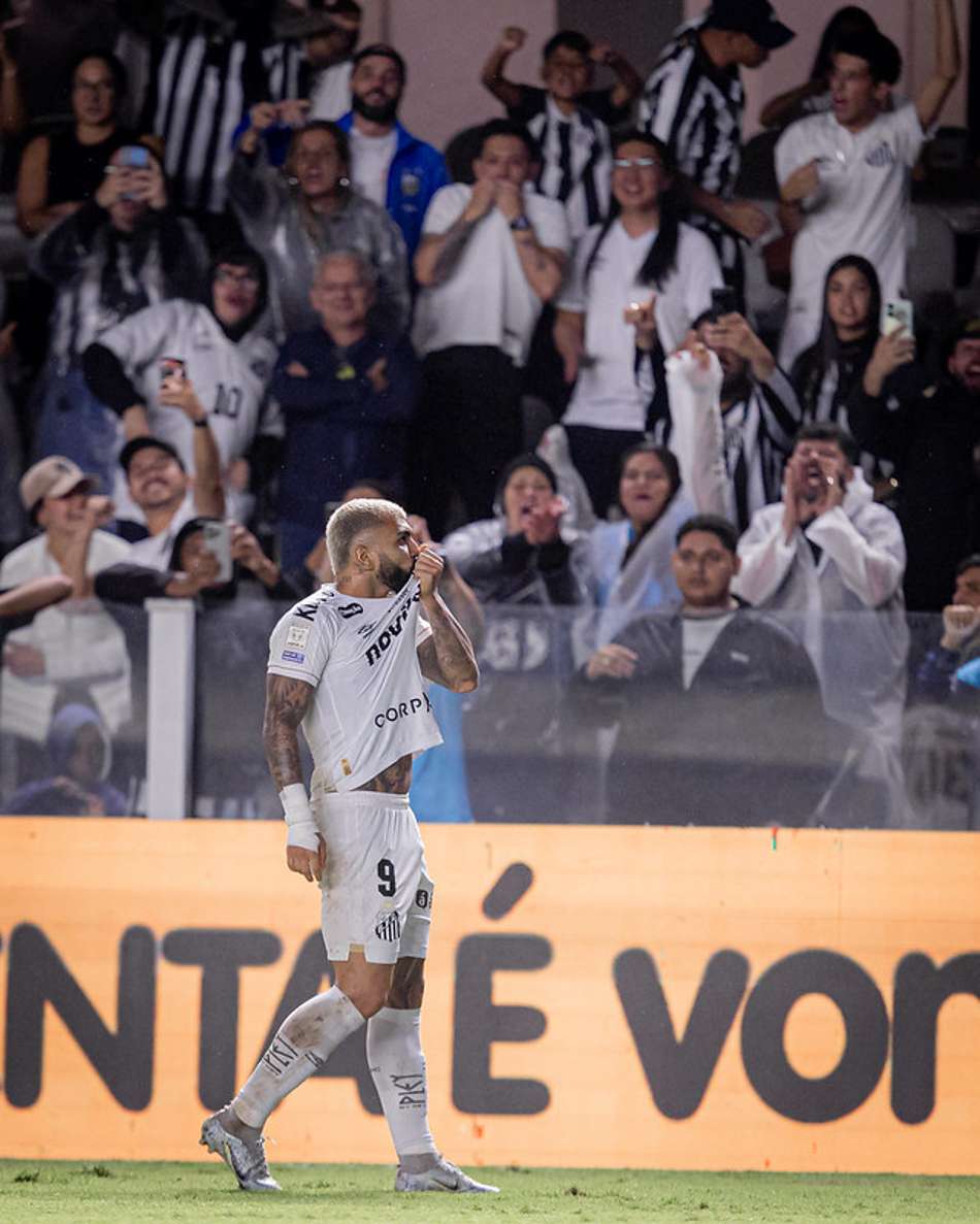 Gabriel Barbosa comemora gol do Santos na Vila Belmiro. (Foto: Raul Baretta/ Santos FC)