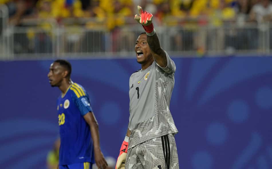 Eloy Room fechou o gol contra o Equador na Copa do Mundo (Foto: JUAN MABROMATA / AFP)