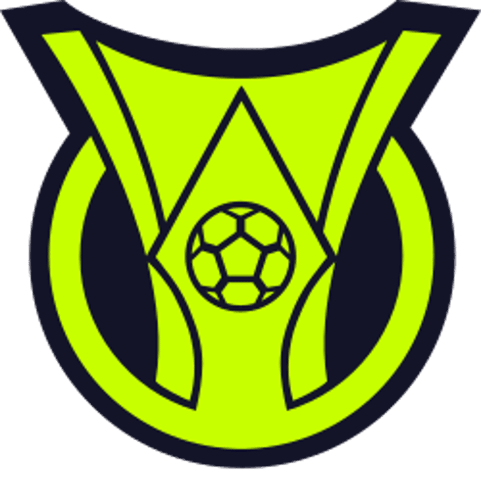 Brasileirão - Logo