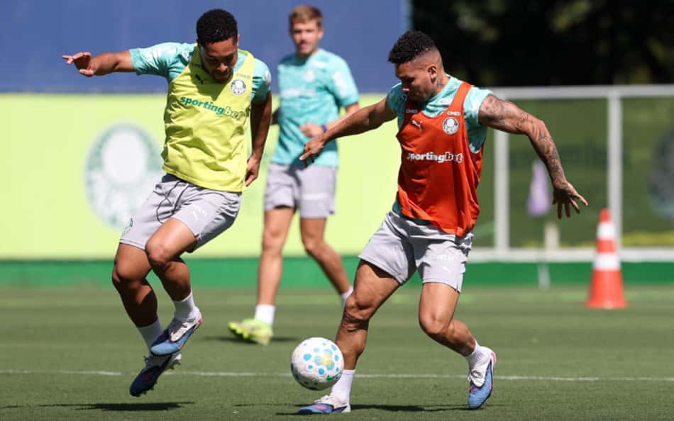Palmeiras ganha quase um mês para se preparar antes da retomada do calendário