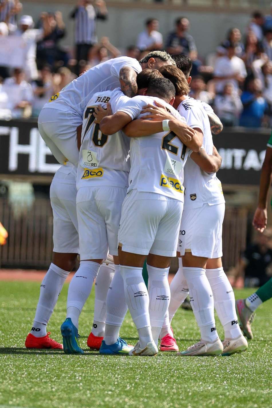 Elenco do Santos no Pacaembu. (Foto: Agência Enquadrar/Folhapress)