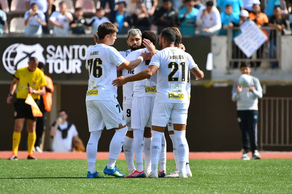 Santos retorna ao Pacaembu depois de seis anos (Foto: Serviço Noticioso Fotográfico / Fotoarena)