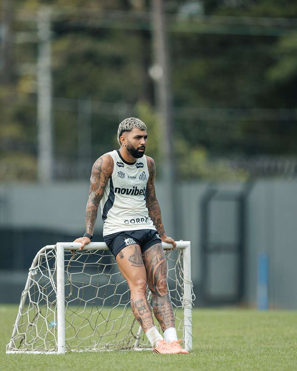 Gabigol tem contrato com o Peixe até o final do ano. (Foto: Raul Baretta/ Santos FC)