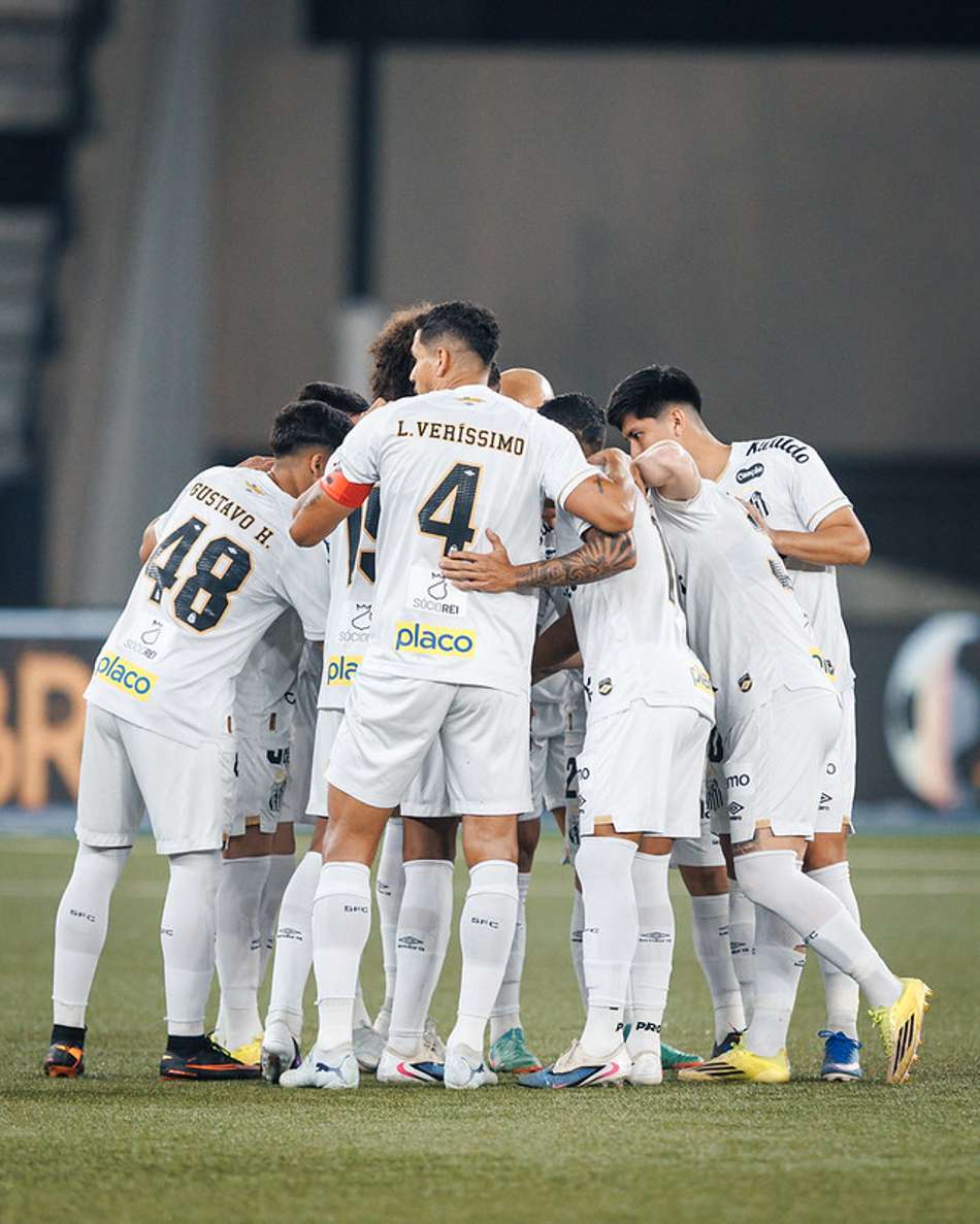 Elenco do Santos durante partida contra o Botafogo, no Nilton Santos. (Foto: Raul Baretta/ Santos FC)