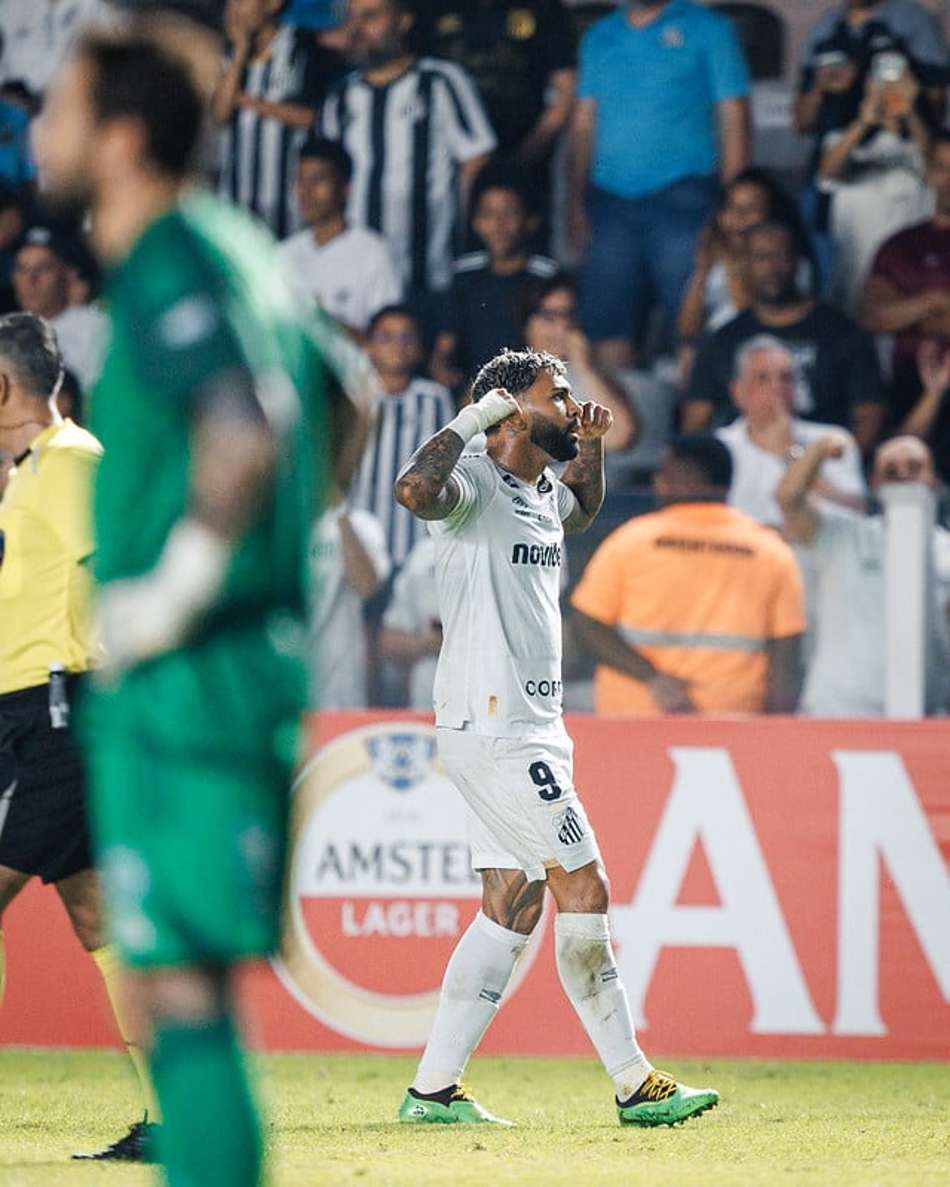 Gabriel Barbosa comemora gol pelo Santos na Vila Belmiro. (Foto: Raul Baretta/ Santos FC)