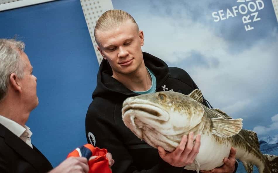 Por que a Noruega levou 400 kg de peixe para a Copa do Mundo?