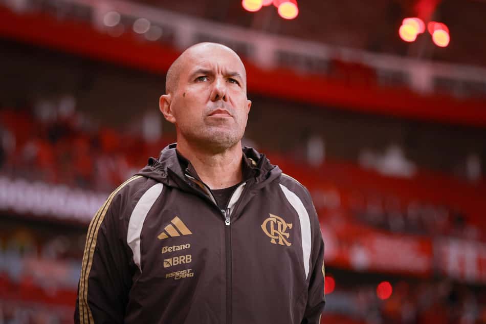 Jardim em Flamengo x Internacional no Beira-Rio