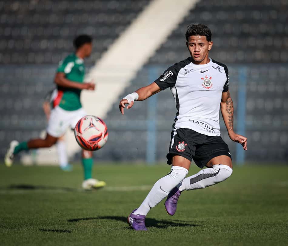 Luiz Fernando durante partida do Corinthians