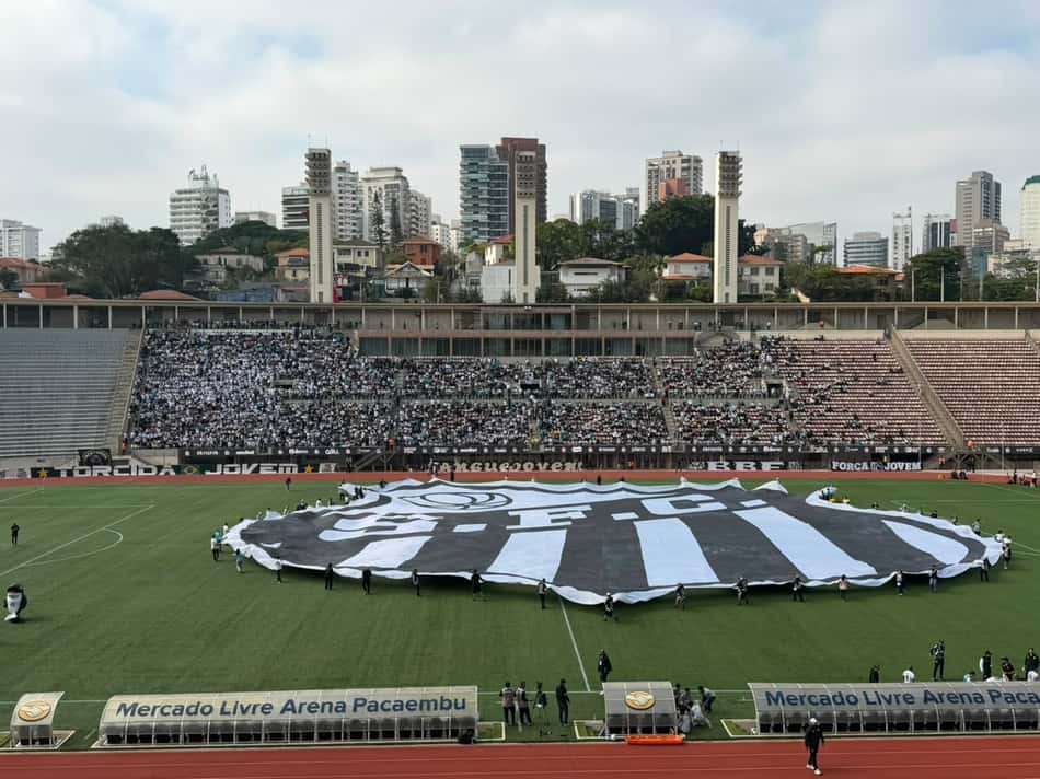 Bandeirão do Santos no gramado do Pacaembu. (Foto: Juliana Yamaoka/ Lance)