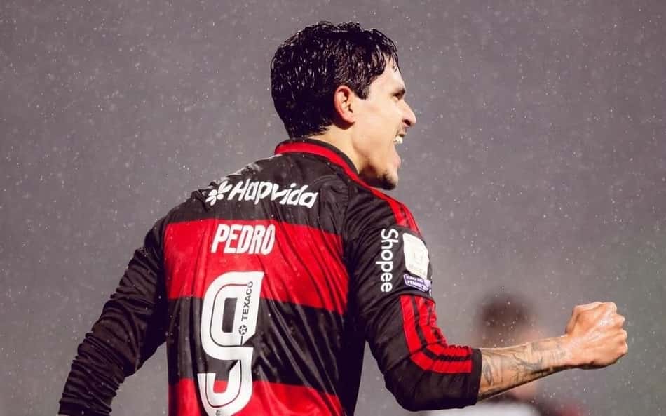 Pedro comemora gol pelo Flamengo em partida contra a Chapecoense pelo Brasileirão