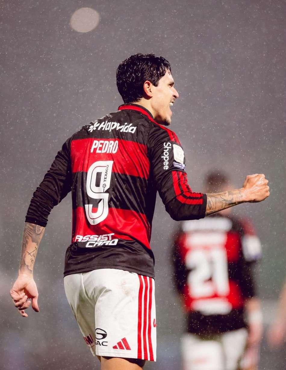 Pedro comemora gol pelo Flamengo em partida contra a Chapecoense pelo Brasileirão