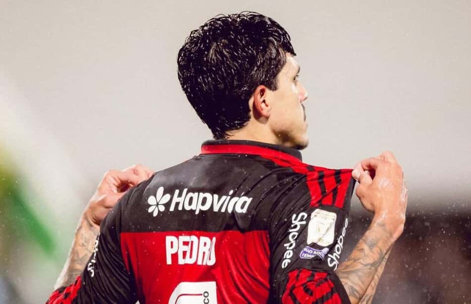 Pedro comemora gol pelo Flamengo em partida contra a Chapecoense pelo Brasileirão