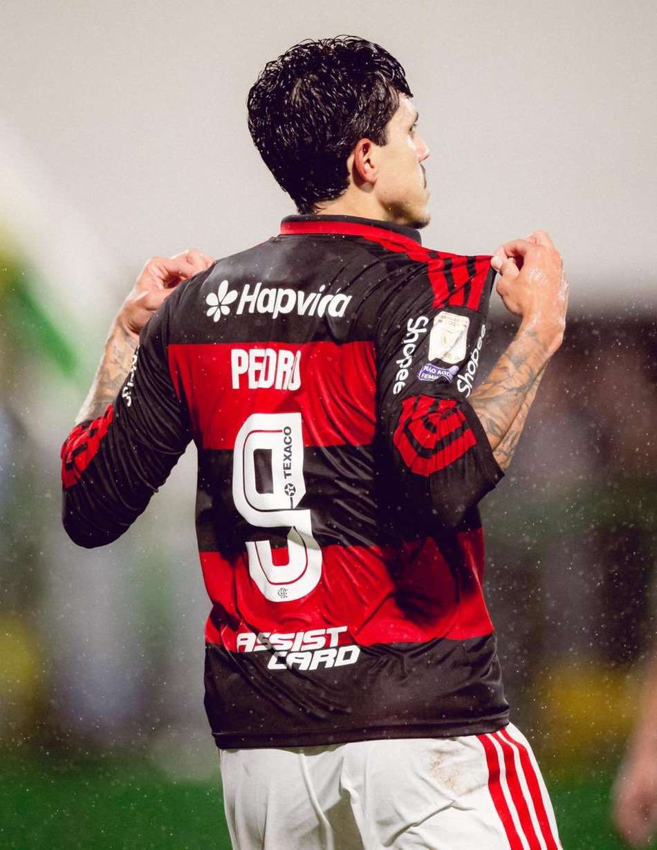 Pedro comemora gol pelo Flamengo em partida contra a Chapecoense pelo Brasileirão