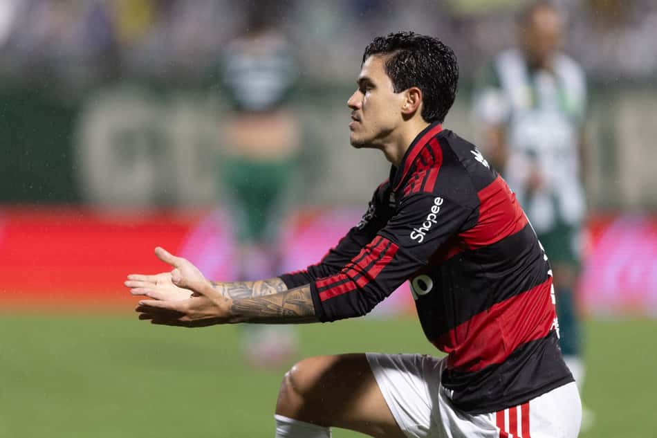 Pedro comemora gol pelo Flamengo contra a Chapecoense no Brasileirão