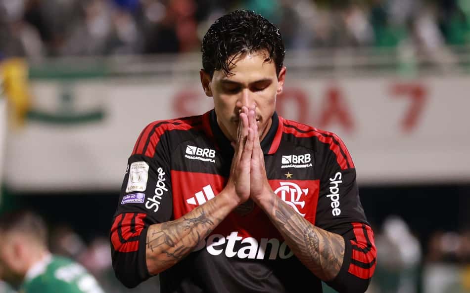 Pedro comemora gol pelo Flamengo contra a Chapecoense no Brasileirão