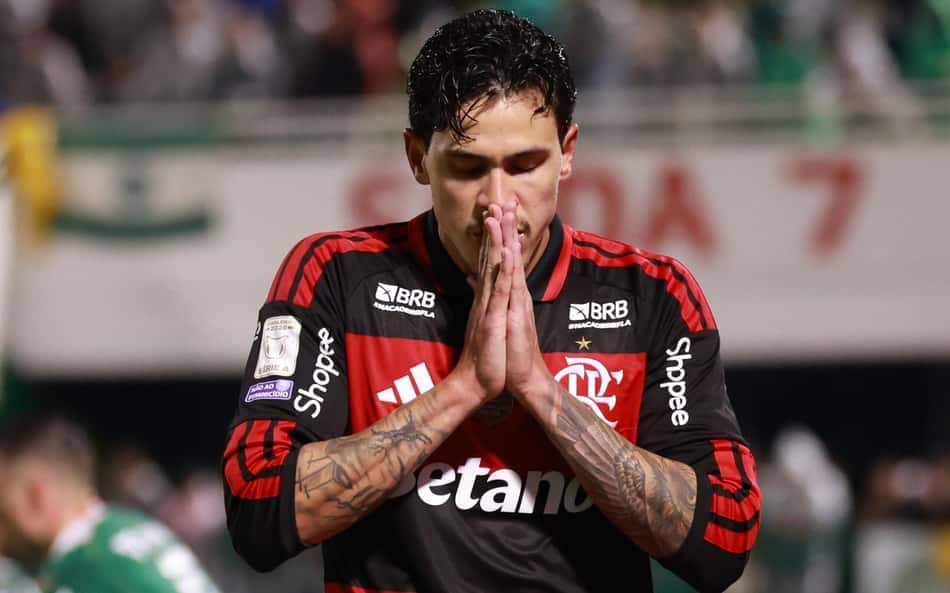 Pedro comemora gol pelo Flamengo contra a Chapecoense no Brasileirão
