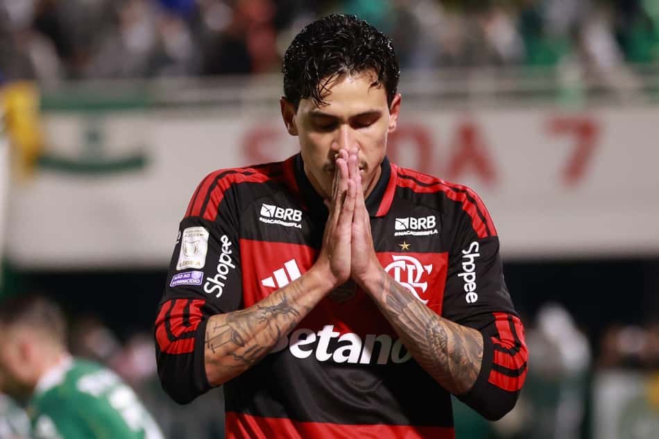 Pedro comemora gol pelo Flamengo contra a Chapecoense no Brasileirão